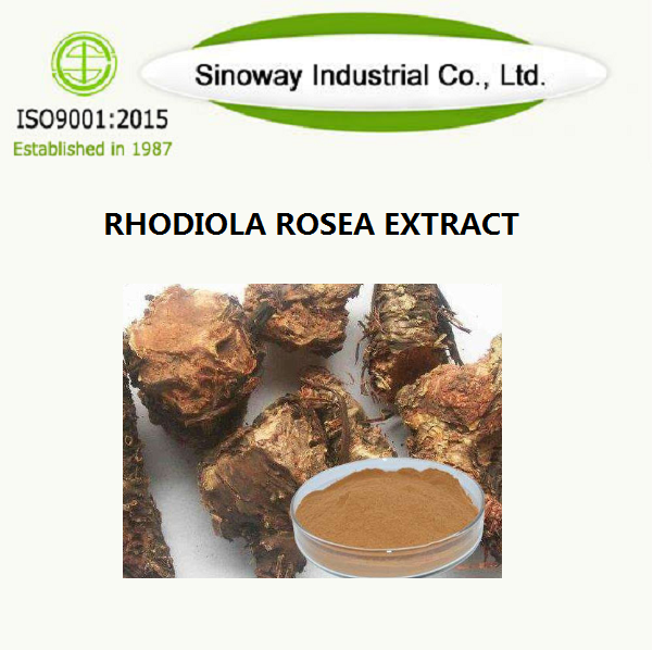 Ekstrak Rhodiola Rosea