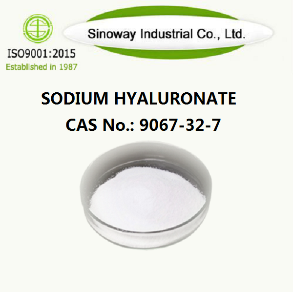 Sodium Hyaluronate 9067-32-7.