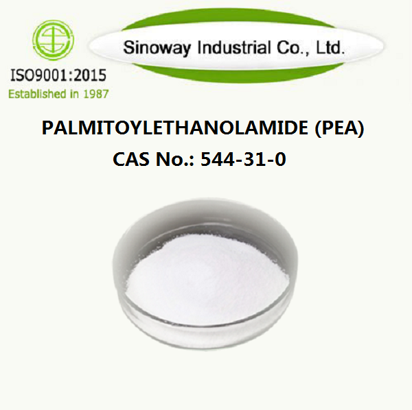 PalmitoyLethanolamide (kacang) 544-31-0