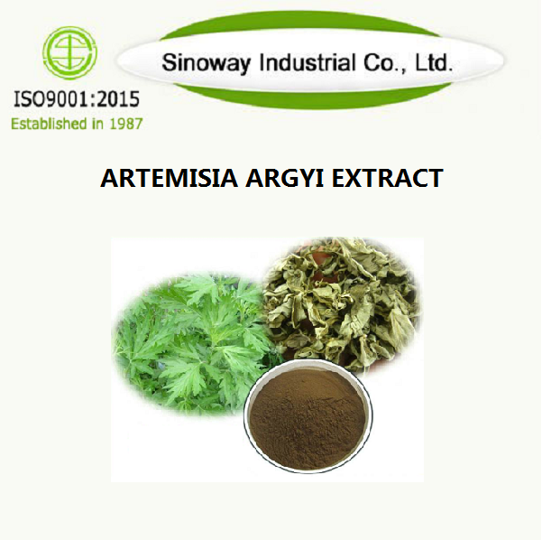 Ekstrak Artemisia Argi
