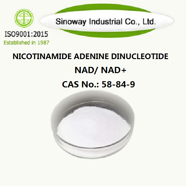 Nicotinamide Adenine Dinukleotide 53-84-9