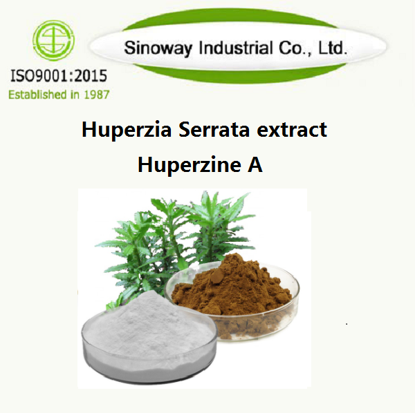 Ekstrak Huperzia Serrata / Huperzine A 102518-79-6