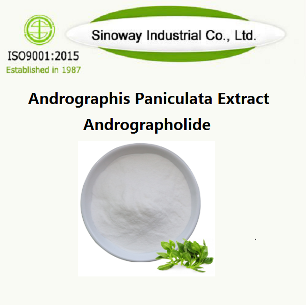 Ekstrak Andrographis Paniculata / Andrographolide
