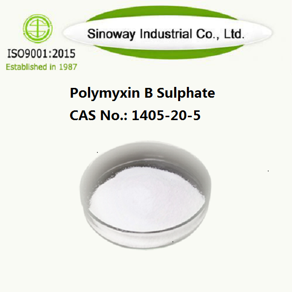 Polimiksin B Sulfat 1405-20-5