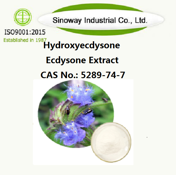 Hidroksiekdison；Ekstrak Ecdysone β-ecdysone 5289-74-7