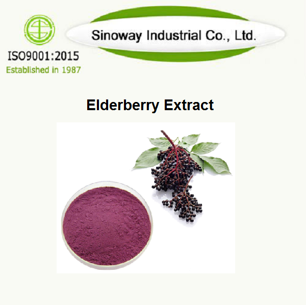 Ekstrak Elderberry
