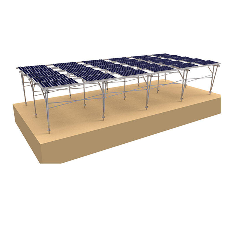 Grosir menggabungkan sistem panel surya dengan pertanian