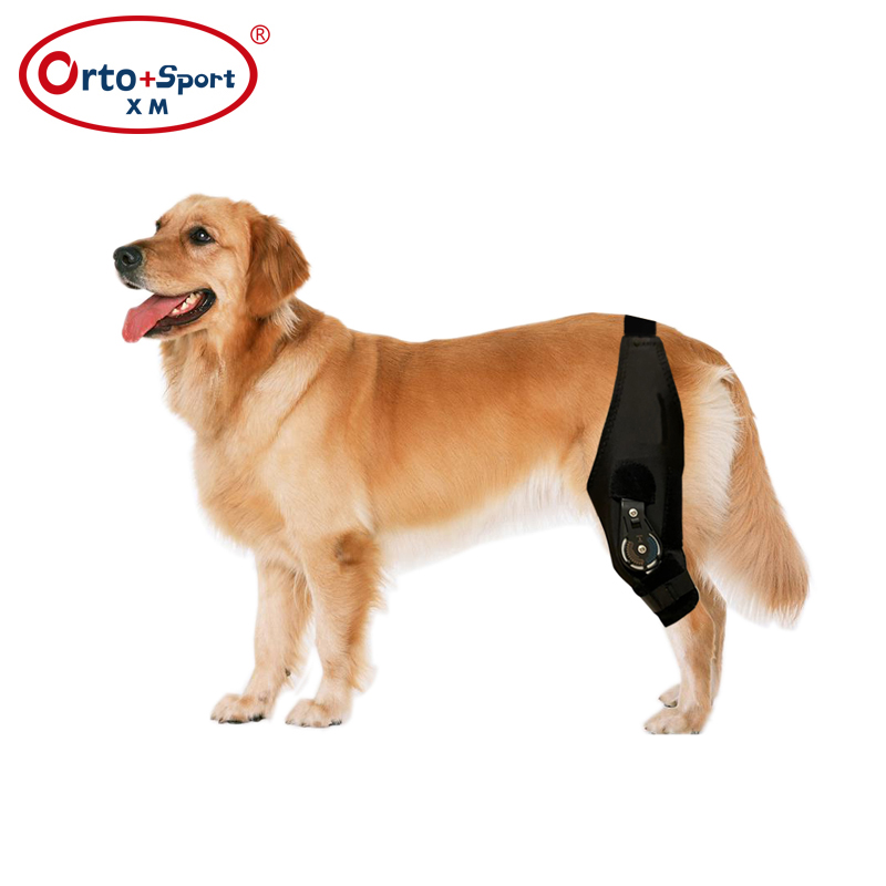 Penahan Lutut Anjing dengan Penstabil Engsel ROM