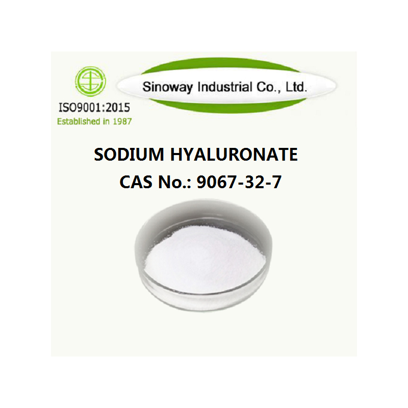 Sodium Hyaluronate 9067-32-7.